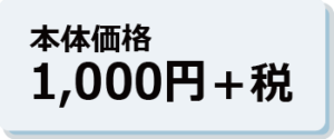 本体価格1,000円+税