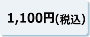 1,100円（税込）