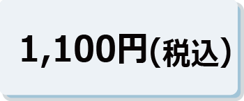 1,100円（税込）